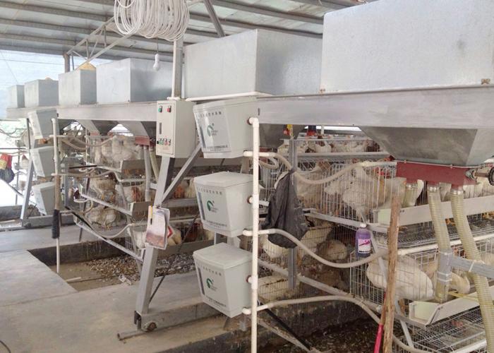 养殖工程案例_蛋鸡养殖设备_自动清粪设备_肉鸡自动送料线_养鸡场设备